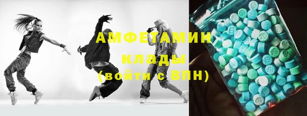 шишки Горно-Алтайск