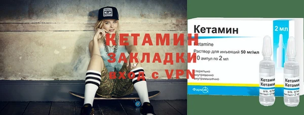 шишки Горно-Алтайск
