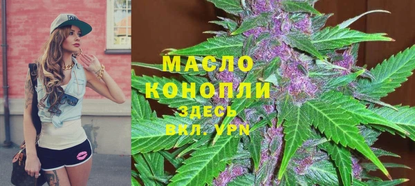 шишки Горно-Алтайск