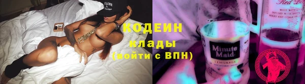 шишки Горно-Алтайск