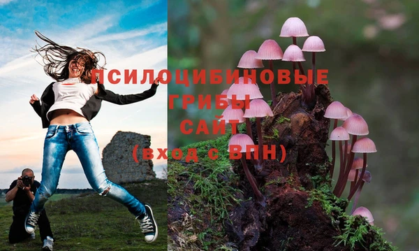 мет Горняк