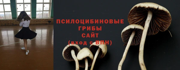 крисы Горнозаводск
