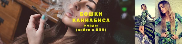 крисы Горнозаводск