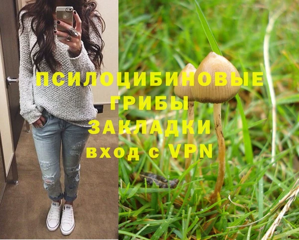 шишки Горно-Алтайск
