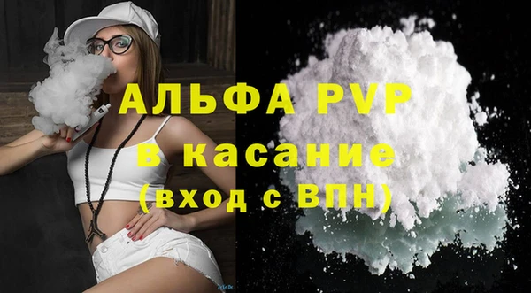 шишки Горно-Алтайск