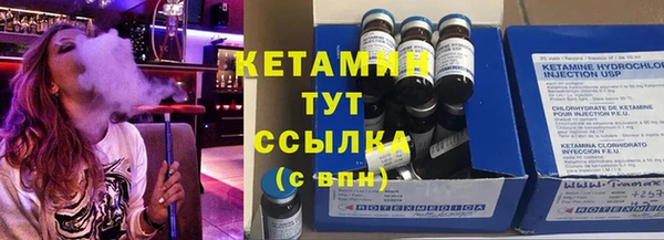 шишки Горно-Алтайск